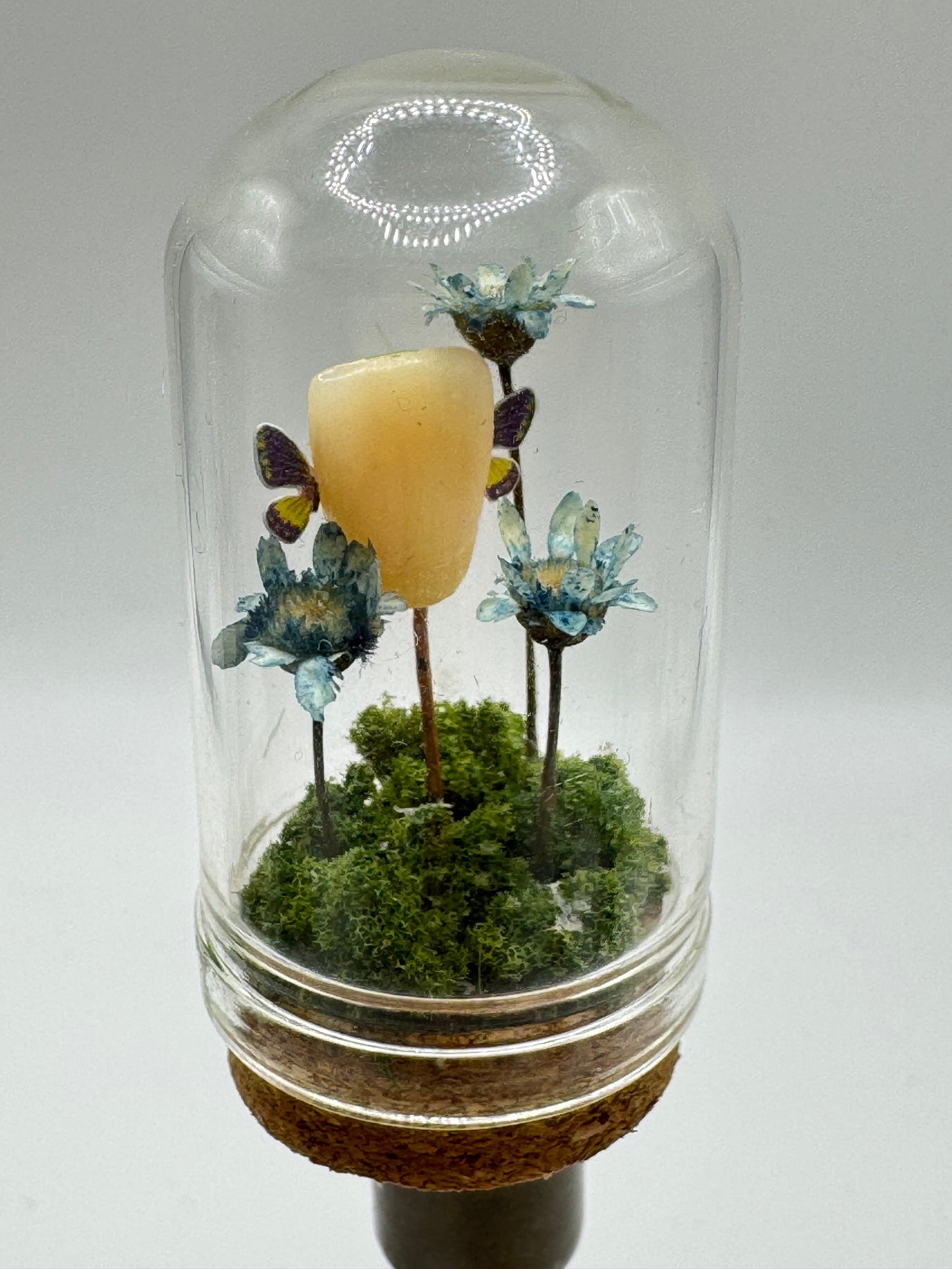 Mini Toothfae Dome
