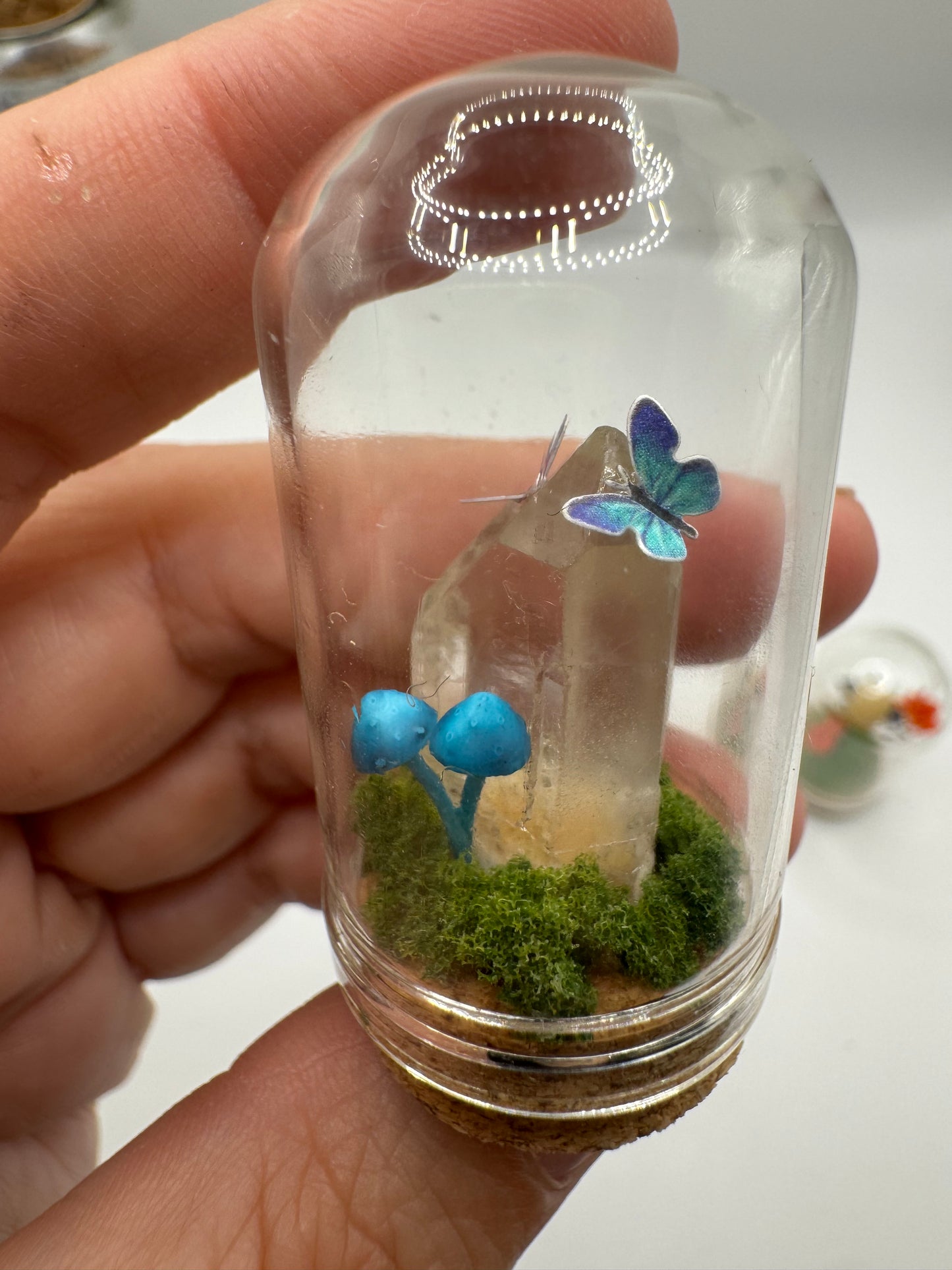 Mini Toadstool Dome