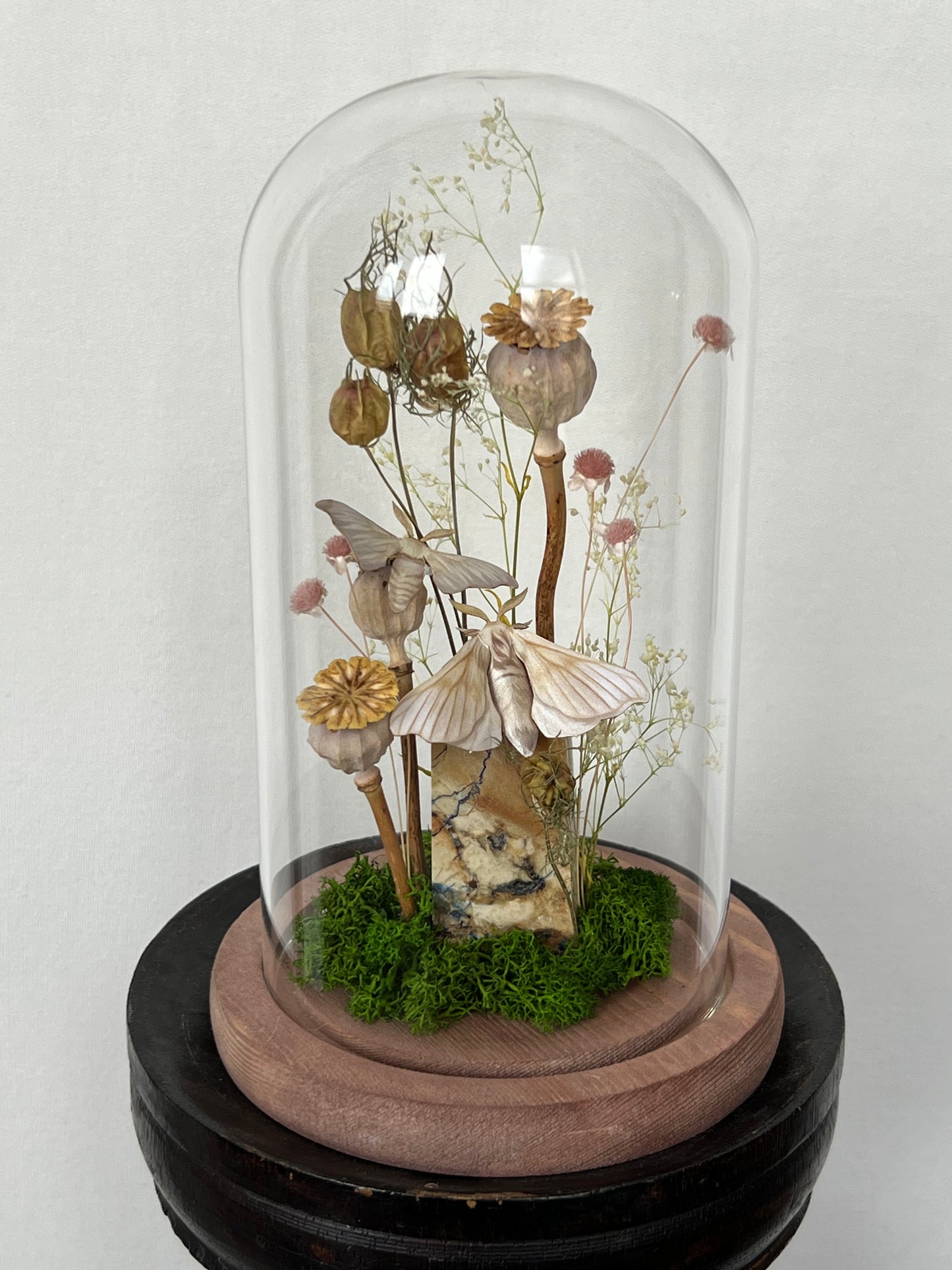 Pixie Dome - Silk Moths