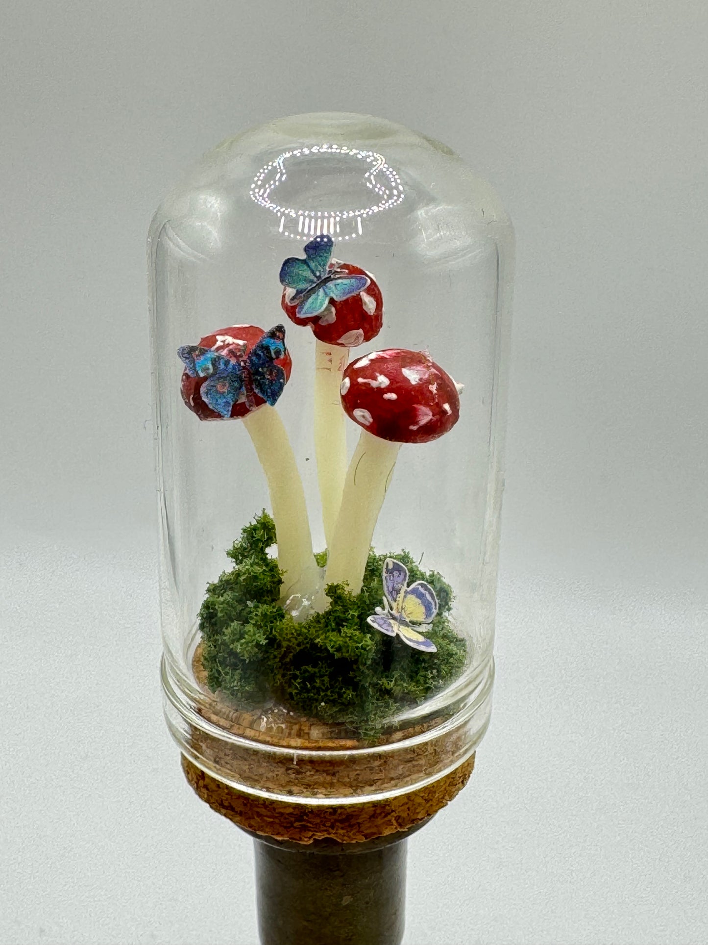 Mini Toadstool Dome