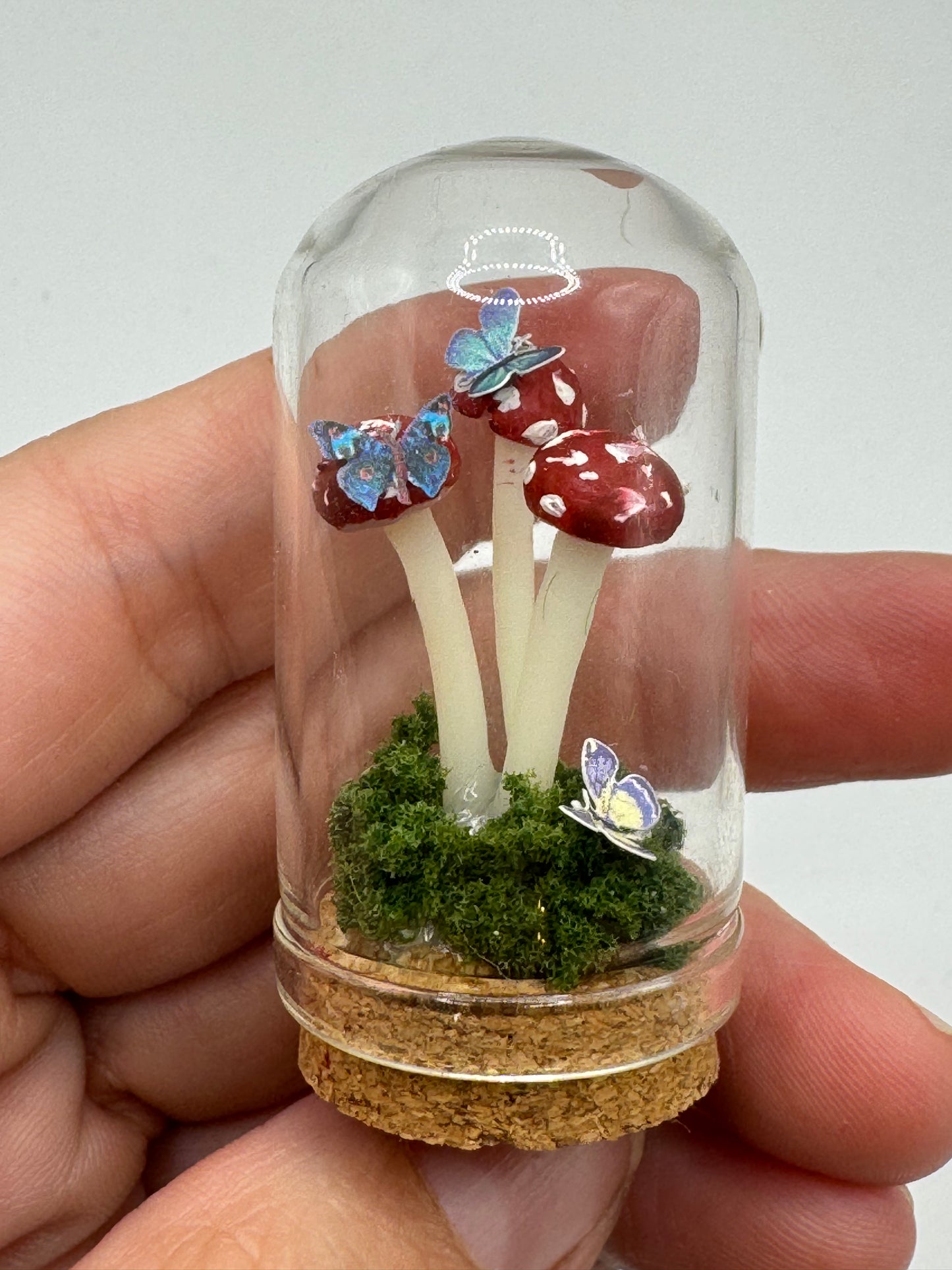 Mini Toadstool Dome