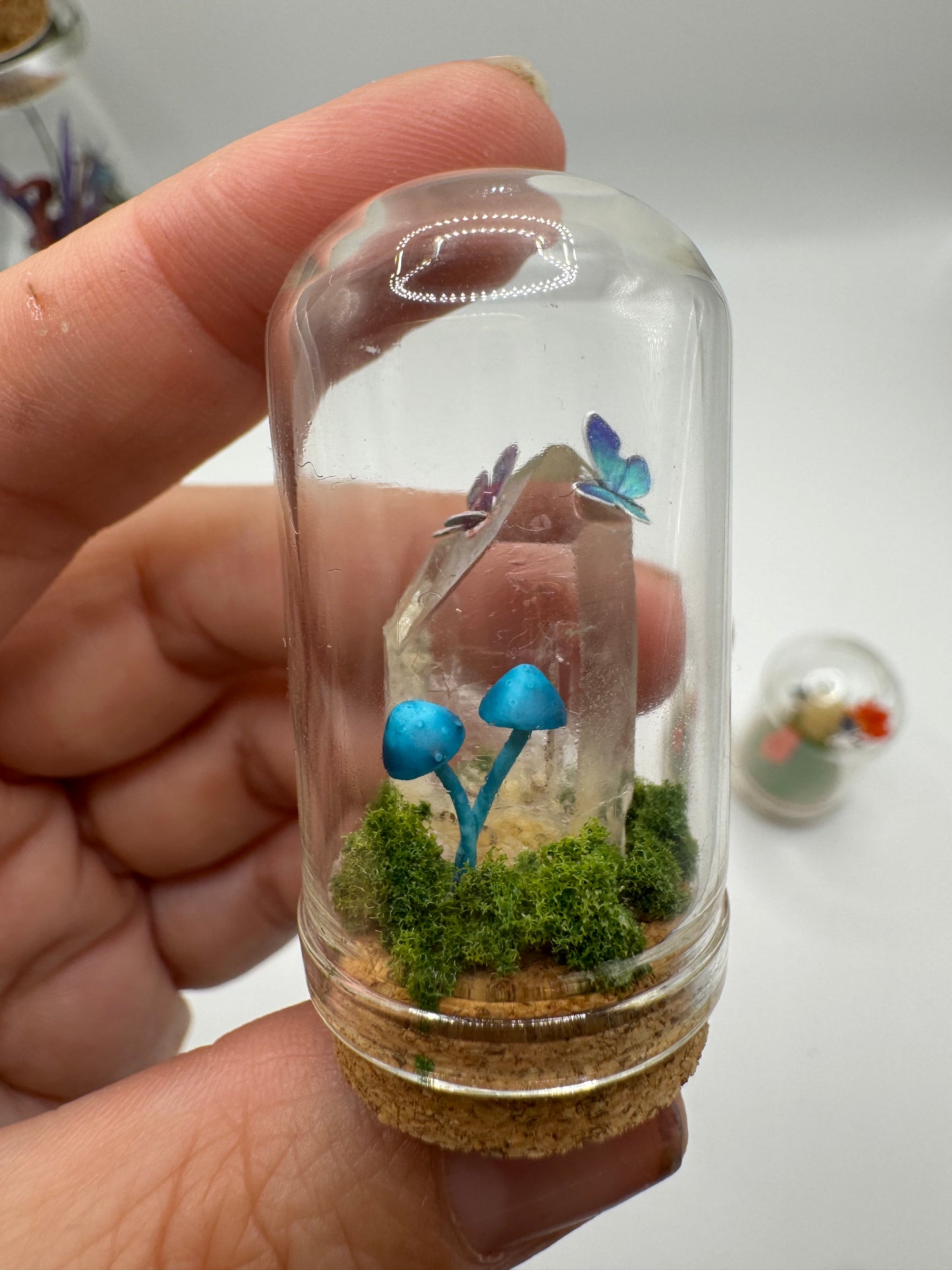Mini Toadstool Dome