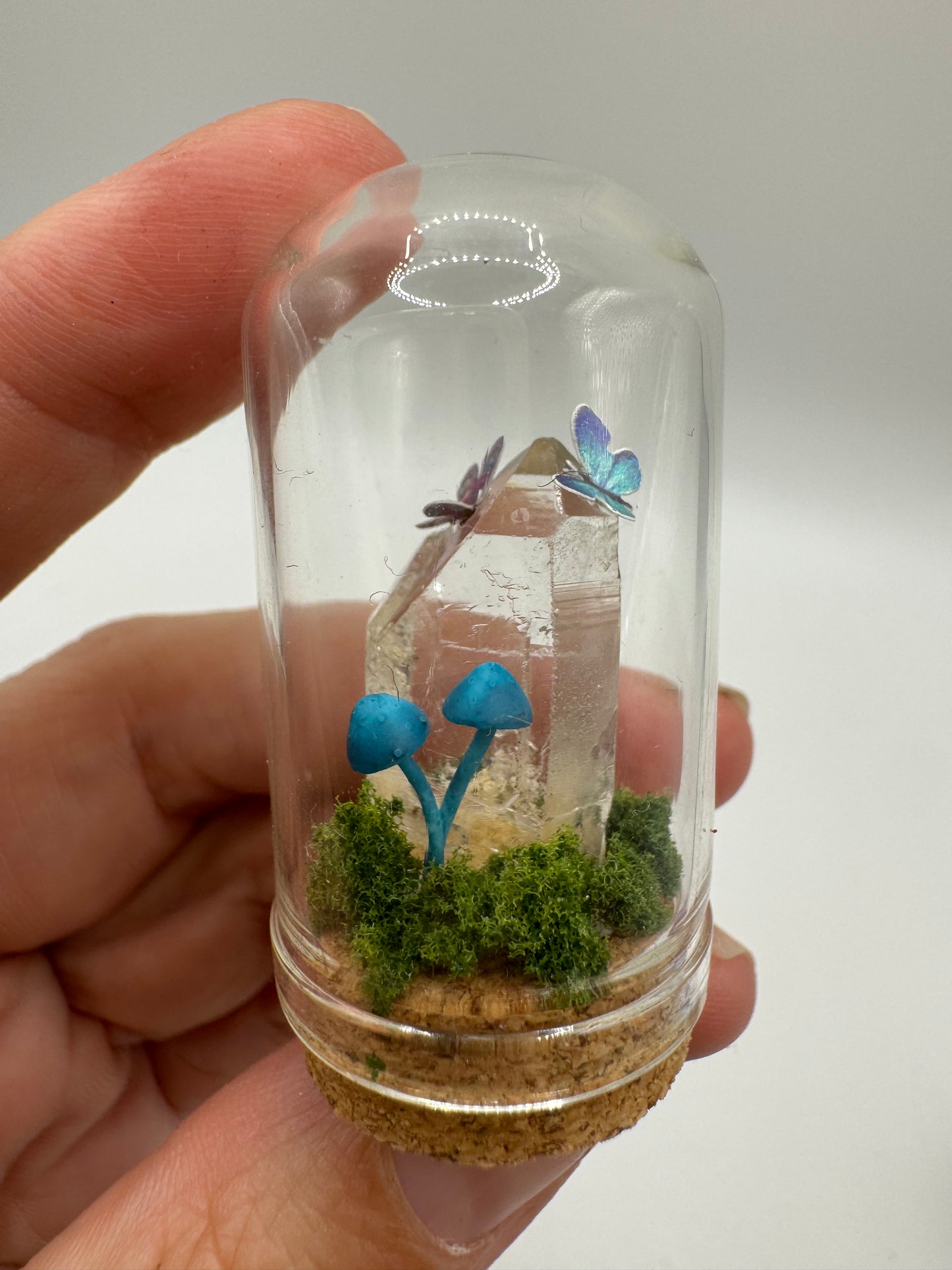Mini Toadstool Dome